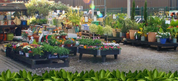 Ruthin Garden Centre and Cafe | Vale of Clwyd | North Wales